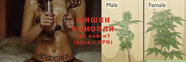spice Баксан
