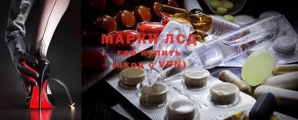 spice Баксан
